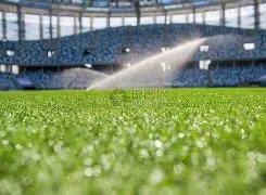 周六,葡超焦点对,本菲卡迎战,雪缘园足球比分网,足球赛事平台,足球比赛比分,足球赛事数据,足球赛事信息