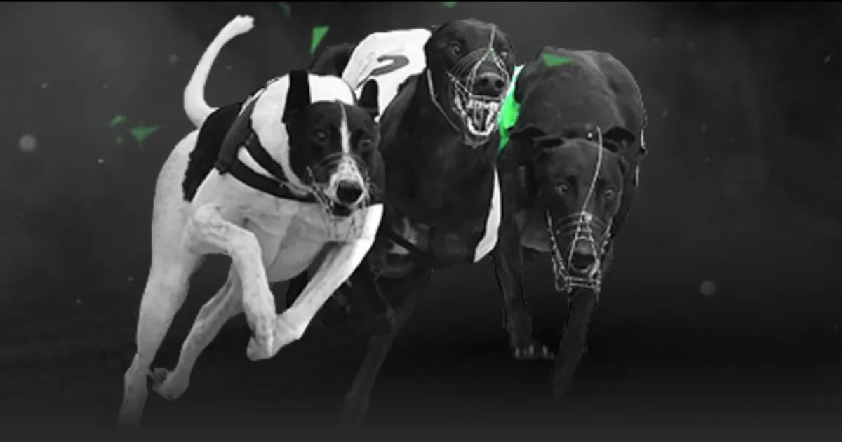 高馨妤击败,对手,中国女网联,雪缘园足球比分网,足球赛事平台,足球比赛比分,足球赛事数据,足球赛事信息