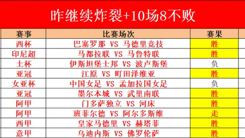 葡萄牙傲人战绩：马丁内斯两年正式赛仅败两场，成就非凡！